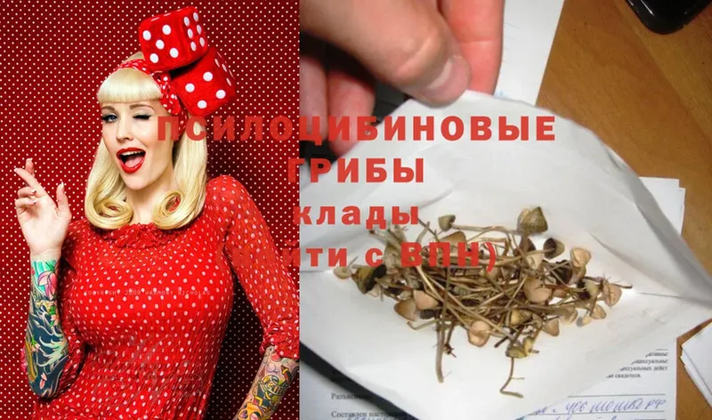 Псилоцибиновые грибы Magic Shrooms  Каменка 